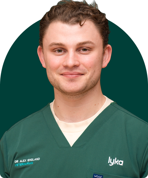 Dr Alex England